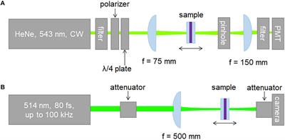 Nonlinear Optical Investigation of Microbial Chromoproteins